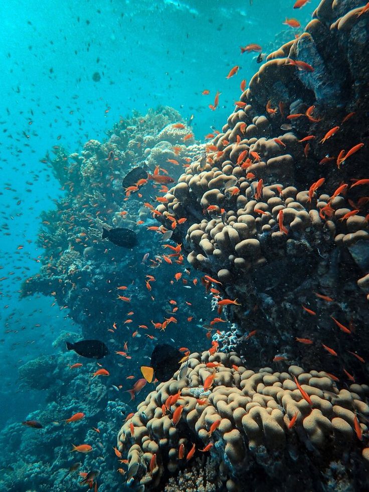 Aqaba